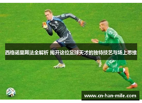 西格诺里踢法全解析 揭开这位足球天才的独特技艺与场上思维